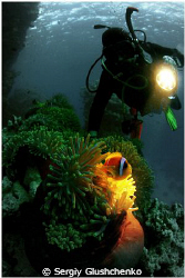 Reef St/ Johns by Sergiy Glushchenko 